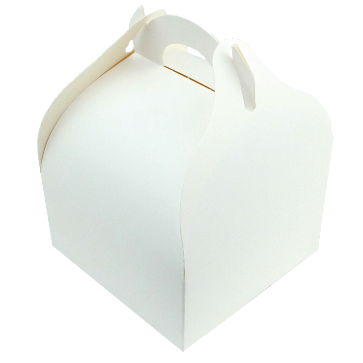 Boîte pâtissière Pur Délice décorée effet aquarelle, idéale pour présenter des gâteaux et pâtisseries