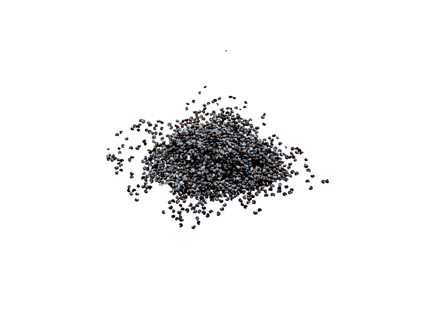 Graines de pavot -330g
