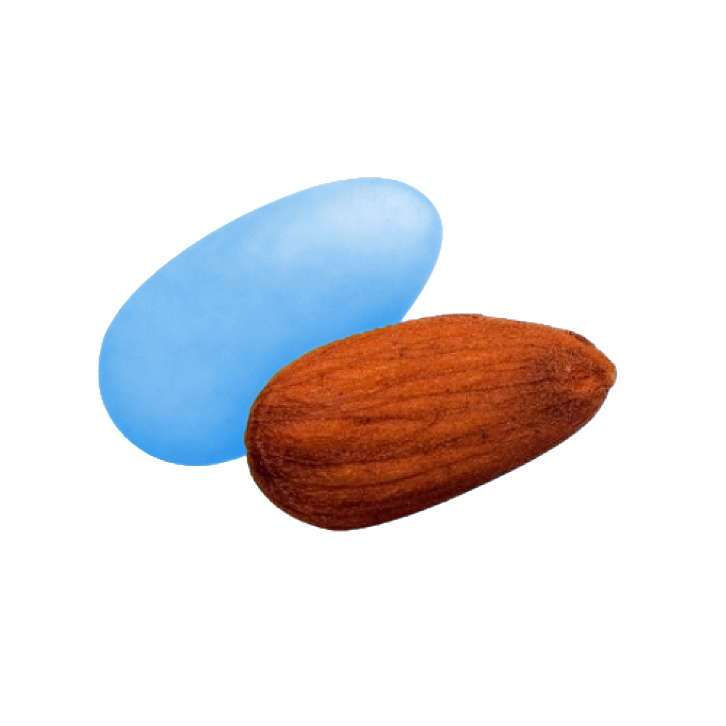 Dragée catalane bleu ciel