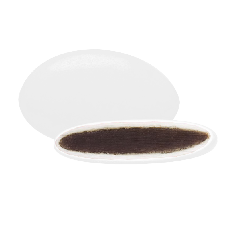 Dragée chocolat blanc -500g
