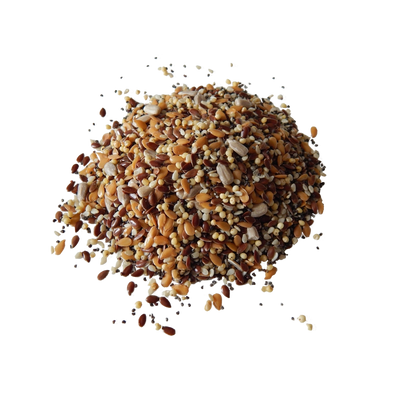 Mélange 5 graines atlas -1kg