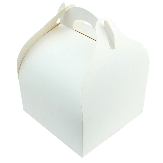 Boîte pâtissière Pur Délice décorée effet aquarelle, idéale pour présenter des gâteaux et pâtisseries