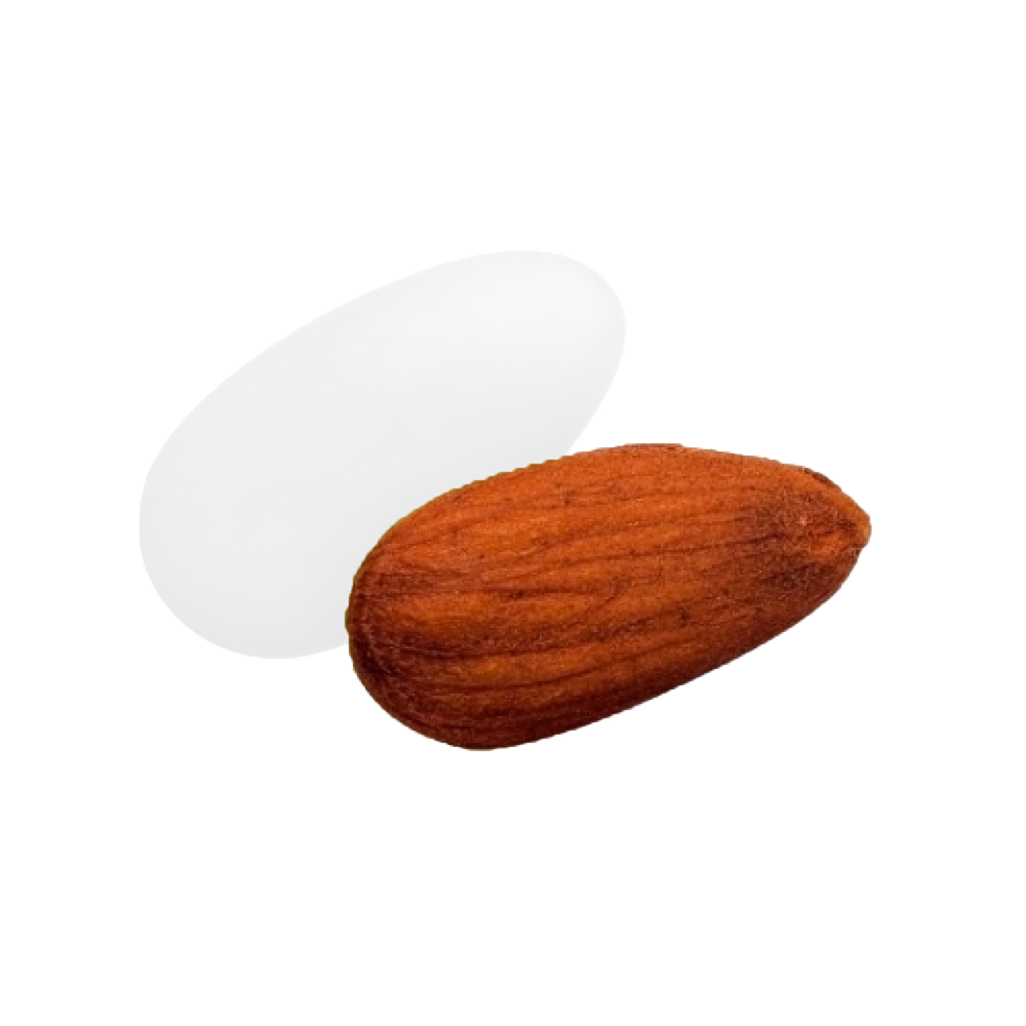 Dragée catalane blanc vernis
