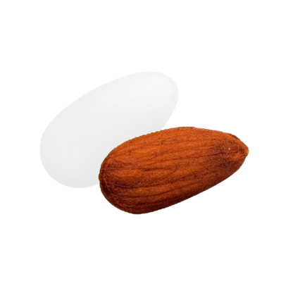 Dragée catalane blanc vernis